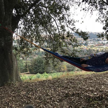 Las Cabanas De Los Abuelos Ciudad Serdan Bagian luar foto